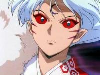   inuyasha t