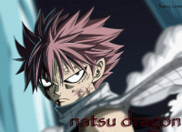   natsu dragon