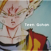   Teen Gohan