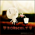   Korichi.Y