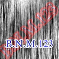   bnm123