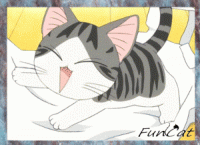   FunCat