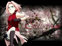   sakura5