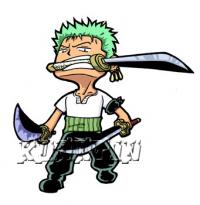   R-zoro