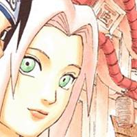   sakura haruno!