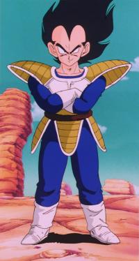   PRENCE VEGETA