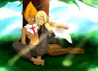   Wakfu