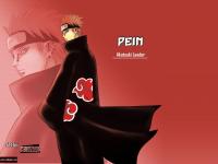   PEIN 