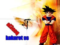   kakarot ss